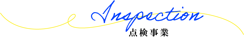 page-title-inspection